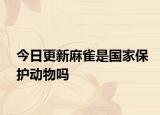 今日更新麻雀是国家保护动物吗