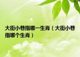 大街小巷指哪一生肖（大街小巷指哪个生肖）