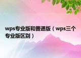 wps专业版和普通版（wps三个专业版区别）