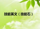 技能英文（技能石）
