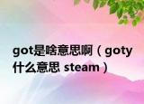got是啥意思啊（goty 什么意思 steam）