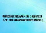 电视剧我们的灿烂人生（我的灿烂人生 2011年陈铭章执导的电视剧）