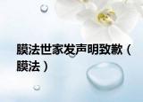 膜法世家发声明致歉（膜法）