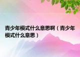 青少年模式什么意思啊（青少年模式什么意思）