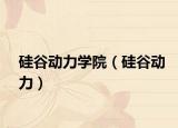 硅谷动力学院（硅谷动力）