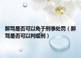 醉驾是否可以免于刑事处罚（醉驾是否可以判缓刑）