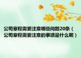 公司章程需要注意哪些问题20条（公司章程需要注意的事项是什么呢）