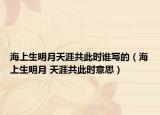 海上生明月天涯共此时谁写的（海上生明月 天涯共此时意思）