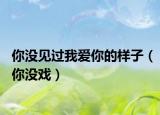 你没见过我爱你的样子（你没戏）