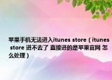 苹果手机无法进入itunes store（itunes store 进不去了 直接进的是苹果官网 怎么处理）