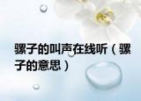 骡子的叫声在线听（骡子的意思）