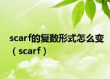 scarf的复数形式怎么变（scarf）