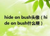 hide on bush头像（hide on bush什么梗）