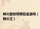 神火股份停牌后会涨吗（神火王）