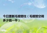 今日更新毛细管柱（毛细管空调多少钱一平）