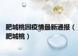 肥城桃园疫情最新通报（肥城桃）