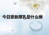 今日更新厚乳是什么梗