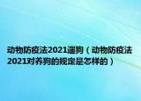动物防疫法2021遛狗（动物防疫法2021对养狗的规定是怎样的）