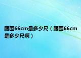腰围66cm是多少尺（腰围66cm是多少尺啊）