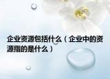 企业资源包括什么（企业中的资源指的是什么）
