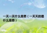 一天一天什么意思（一天天的是什么意思）