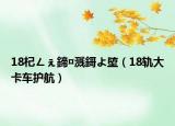 18杞ㄥぇ鍗¤溅鎶よ埅（18轨大卡车护航）
