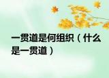 一贯道是何组织（什么是一贯道）