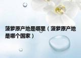 菠萝原产地是哪里（菠萝原产地是哪个国家）