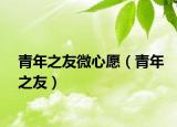 青年之友微心愿（青年之友）