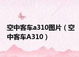 空中客车a310图片（空中客车A310）
