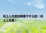 向上人生路张鹏是干什么的（向上人生路）