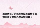 离婚后孩子的抚养费该怎么给（离婚后孩子的抚养费该如何算）