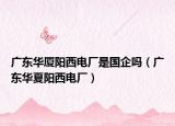 广东华厦阳西电厂是国企吗（广东华夏阳西电厂）