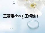 王靖雄cba（王靖雄）