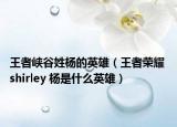 王者峡谷姓杨的英雄（王者荣耀 shirley 杨是什么英雄）
