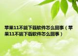 苹果11不能下载软件怎么回事（苹果11不能下载软件怎么回事）