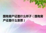 国有房产证是什么样子（国有房产证是什么意思）