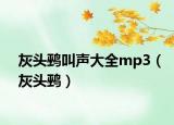 灰头鹀叫声大全mp3（灰头鹀）