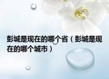彭城是现在的哪个省（彭城是现在的哪个城市）