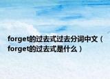 forget的过去式过去分词中文（forget的过去式是什么）
