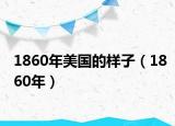 1860年美国的样子（1860年）