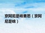 京阿尼是啥意思（京阿尼是啥）