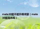 mate30能不能升级鸿蒙（mate30能泡水吗）