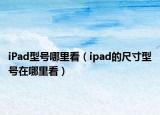 iPad型号哪里看（ipad的尺寸型号在哪里看）