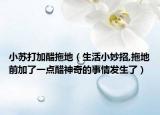 小苏打加醋拖地（生活小妙招,拖地前加了一点醋神奇的事情发生了）