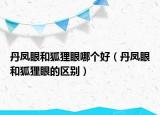 丹凤眼和狐狸眼哪个好（丹凤眼和狐狸眼的区别）