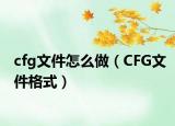 cfg文件怎么做（CFG文件格式）