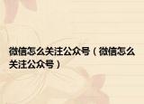 微信怎么关注公众号（微信怎么关注公众号）