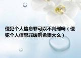 侵犯个人信息罪可以不判刑吗（侵犯个人信息罪缓刑希望大么）