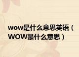 wow是什么意思英语（WOW是什么意思）